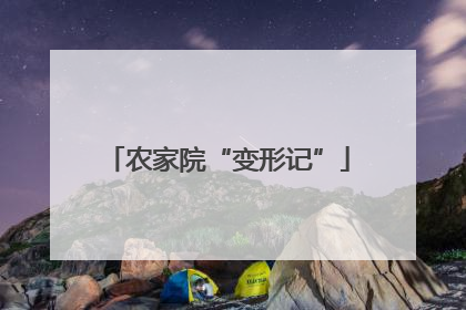 农家院“变形记”