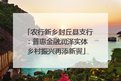 农行新乡封丘县支行：普惠金融润泽实体 乡村振兴再添新翼