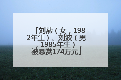 刘燕（女，1982年生）、刘波（男，1985年生），被悬赏174万元