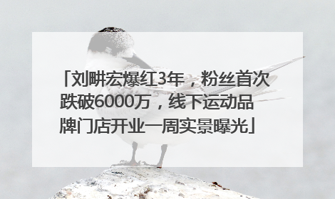 刘畊宏爆红3年，粉丝首次跌破6000万，线下运动品牌门店开业一周实景曝光