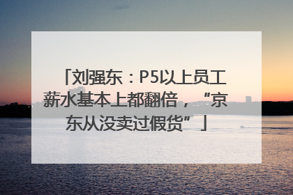 刘强东：P5以上员工薪水基本上都翻倍，“京东从没卖过假货”