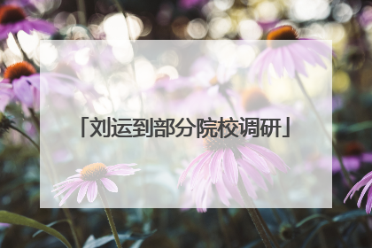 刘运到部分院校调研