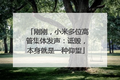 刚刚，小米多位高管集体发声：诋毁，本身就是一种仰望