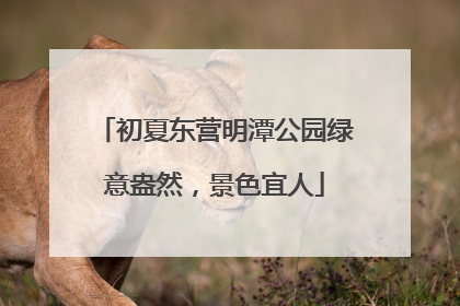 初夏东营明潭公园绿意盎然，景色宜人