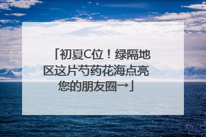 初夏C位！绿隔地区这片芍药花海点亮您的朋友圈→