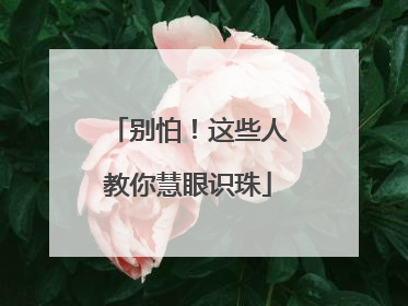 别怕！这些人教你慧眼识珠