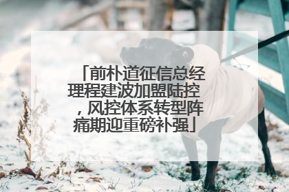 前朴道征信总经理程建波加盟陆控，风控体系转型阵痛期迎重磅补强