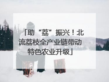 助“荔”振兴！北流荔枝全产业链带动特色农业升级