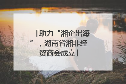 助力“湘企出海”，湖南省湘非经贸商会成立