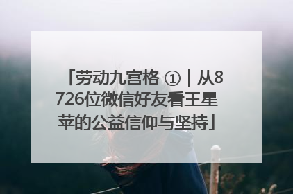 劳动九宫格 ①｜从8726位微信好友看王星苹的公益信仰与坚持