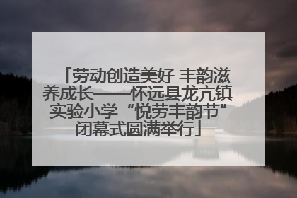劳动创造美好 丰韵滋养成长——怀远县龙亢镇实验小学“悦劳丰韵节”闭幕式圆满举行