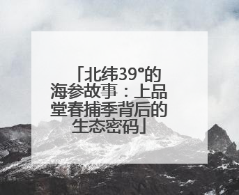 北纬39°的海参故事：上品堂春捕季背后的生态密码