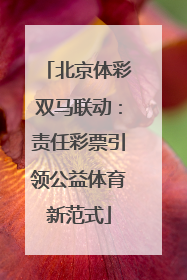 北京体彩双马联动：责任彩票引领公益体育新范式