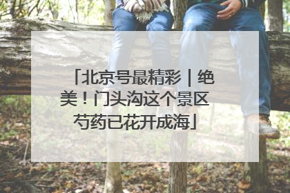 北京号最精彩｜绝美！门头沟这个景区芍药已花开成海