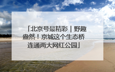 北京号最精彩｜野趣盎然！京城这个生态桥连通两大网红公园