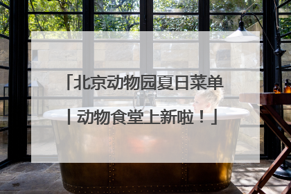 北京动物园夏日菜单丨动物食堂上新啦！