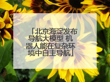 北京海淀发布导航大模型 机器人能在复杂环境中自主导航