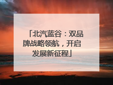 北汽蓝谷：双品牌战略领航，开启发展新征程