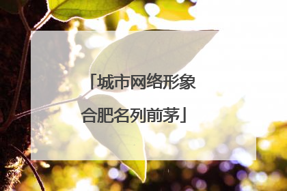 城市网络形象合肥名列前茅