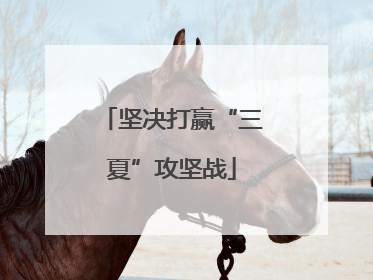 坚决打赢“三夏”攻坚战