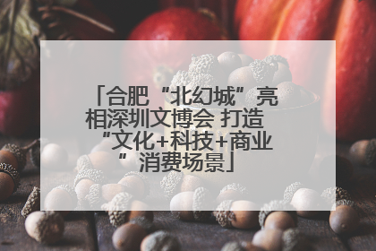 合肥“北幻城”亮相深圳文博会 打造“文化+科技+商业”消费场景