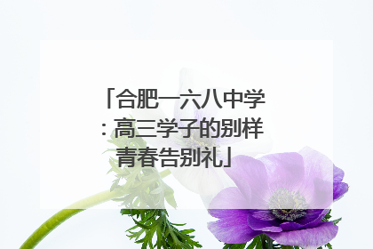 合肥一六八中学：高三学子的别样青春告别礼