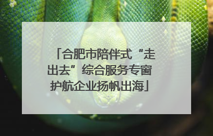 合肥市陪伴式“走出去”综合服务专窗护航企业扬帆出海