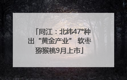 同江：北纬47°种出“黄金产业” 软枣猕猴桃9月上市