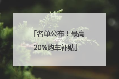 名单公布！最高20%购车补贴