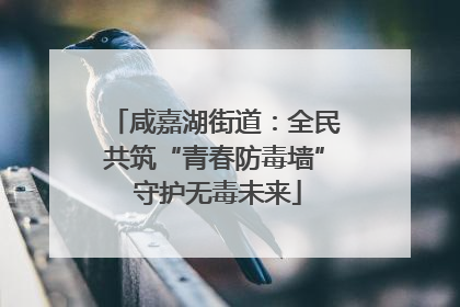 咸嘉湖街道：全民共筑“青春防毒墙” 守护无毒未来