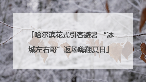 哈尔滨花式引客避暑 “冰城左右哥”返场嗨翻夏日