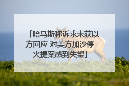 哈马斯称诉求未获以方回应 对美方加沙停火提案感到失望