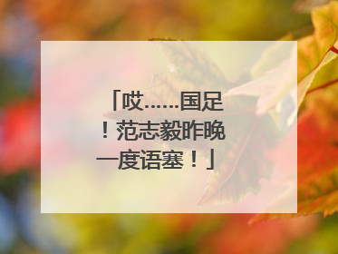 哎……国足！范志毅昨晚一度语塞！