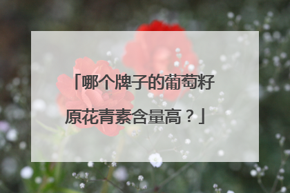 哪个牌子的葡萄籽原花青素含量高？