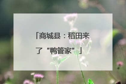 商城县：稻田来了“鸭管家”