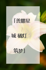 善耀星城 橘灯筑梦