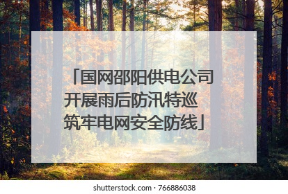 国网邵阳供电公司开展雨后防汛特巡 筑牢电网安全防线