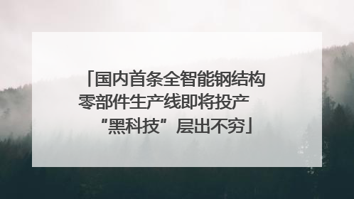 国内首条全智能钢结构零部件生产线即将投产 “黑科技”层出不穷