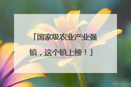 国家级农业产业强镇，这个镇上榜！