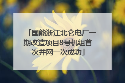 国能浙江北仑电厂一期改造项目8号机组首次并网一次成功