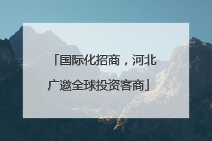 国际化招商，河北广邀全球投资客商