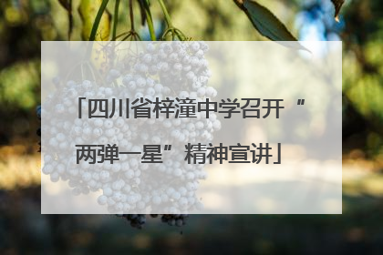 四川省梓潼中学召开“两弹一星”精神宣讲