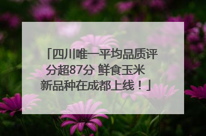 四川唯一平均品质评分超87分 鲜食玉米新品种在成都上线！