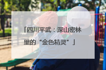 四川平武：深山密林里的“金色精灵”