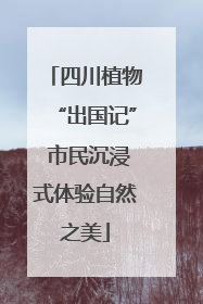 四川植物“出国记” 市民沉浸式体验自然之美