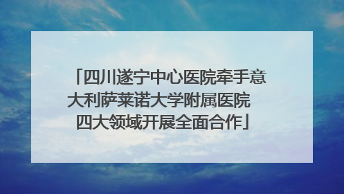 四川遂宁中心医院牵手意大利萨莱诺大学附属医院 四大领域开展全面合作