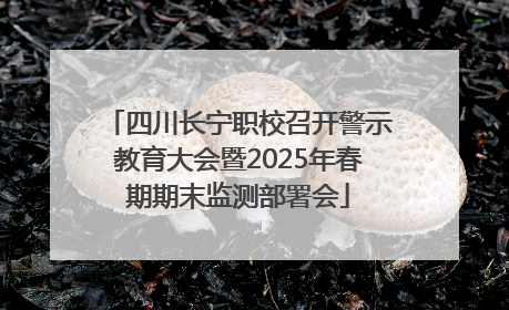 四川长宁职校召开警示教育大会暨2025年春期期末监测部署会