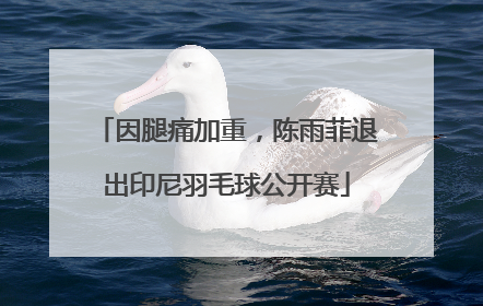 因腿痛加重，陈雨菲退出印尼羽毛球公开赛