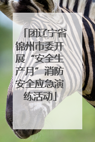 团辽宁省锦州市委开展“安全生产月”消防安全应急演练活动
