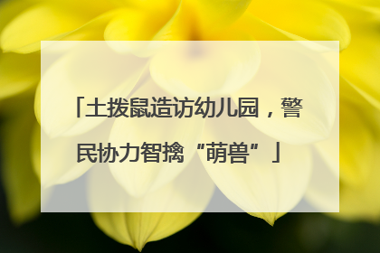 土拨鼠造访幼儿园，警民协力智擒“萌兽”
